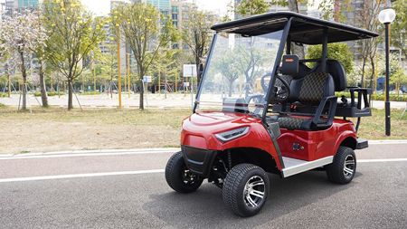 2+2 Passenger Electric Golf Cart