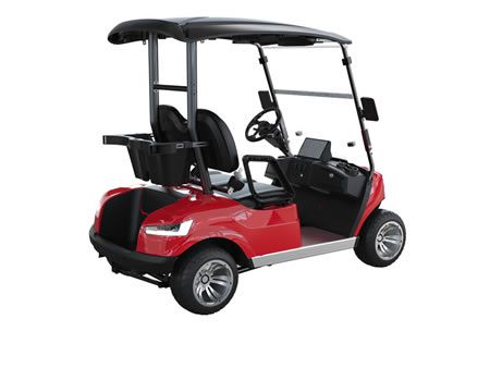 2 Passenger Electric Golf Cart