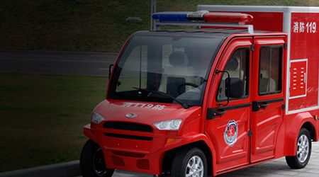 Electric Specialty Vehicle