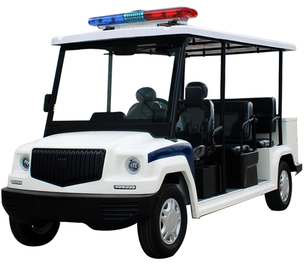 Electric Specialty Vehicle
